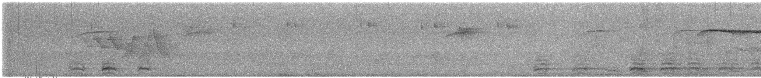 Common Raven - ML621386408