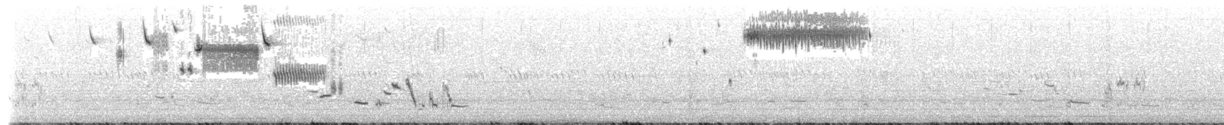 Grasammer - ML621387757