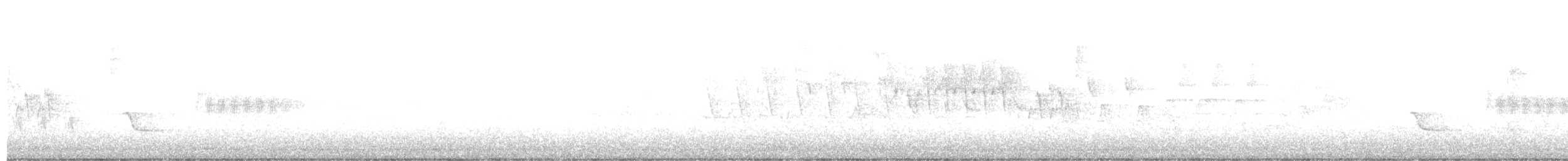 Toquí Flanquirrufo - ML621388609