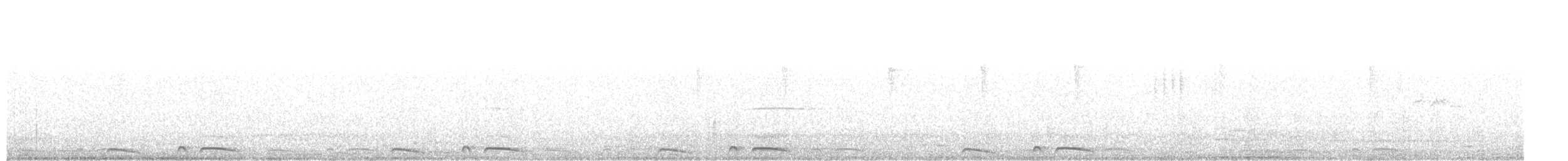 holoubek šupinkový - ML621389651