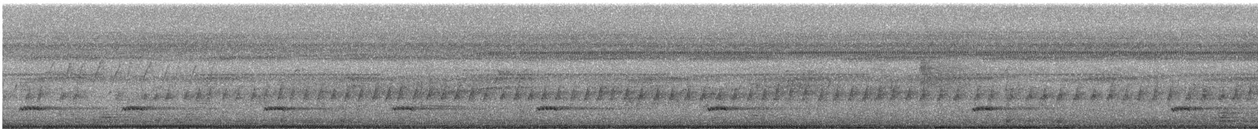 Kara Kulaklı Barbet - ML621389818