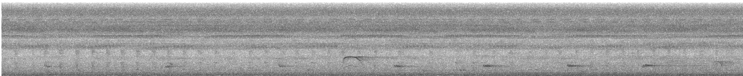 Kara Kulaklı Barbet - ML621390001