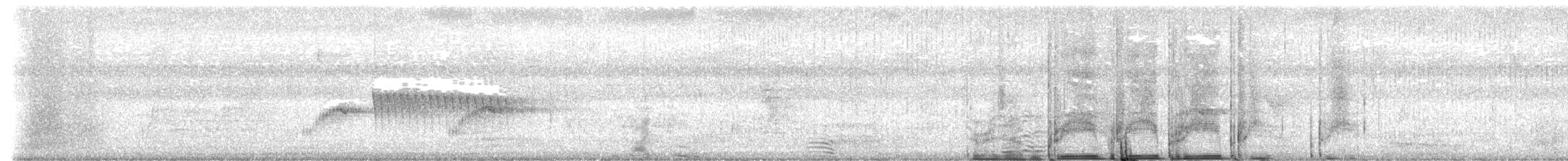 Grauschneidervogel - ML621391410