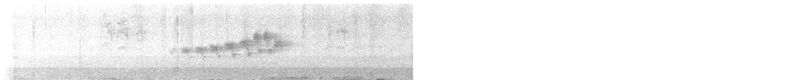 gråparula - ML621395306