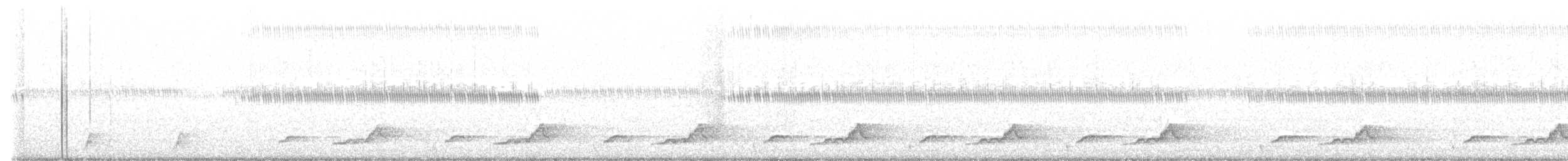 Schwarzkehl-Nachtschwalbe - ML621398563