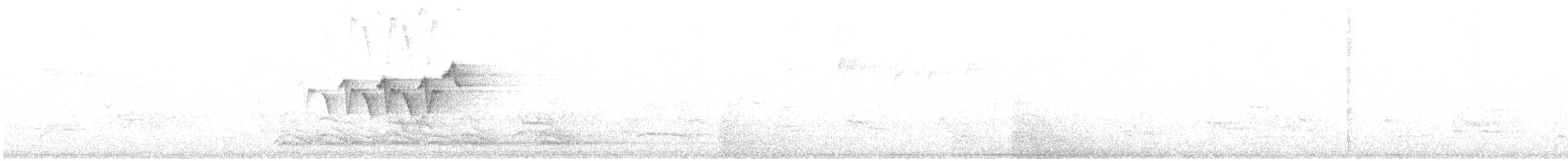 シロオビアメリカムシクイ - ML621399294