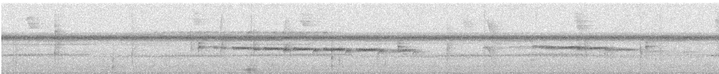 Мурав’янка-куцохвіст плямиста - ML621399583
