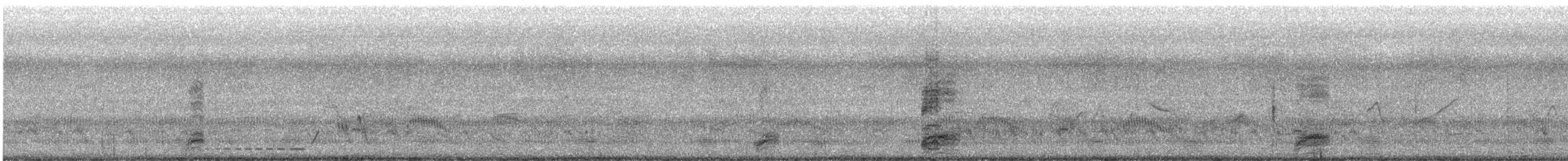 Black-crowned Night Heron - ML621399815