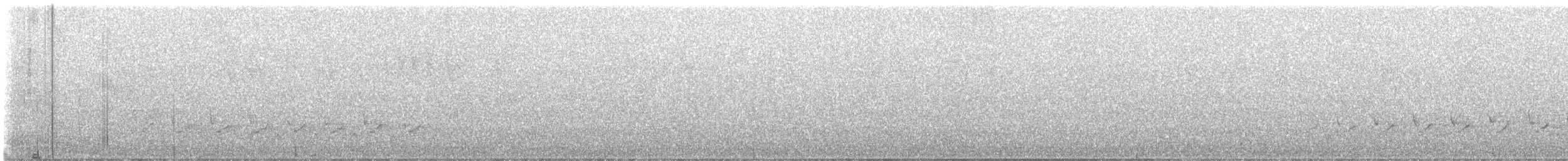 Carolina Wren - ML621404021