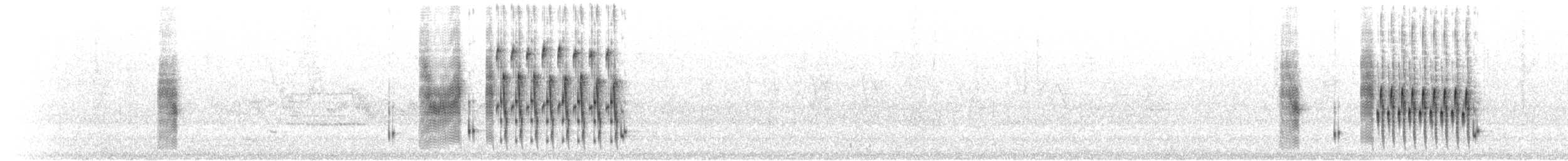 Marsh Wren (palustris Group) - ML621405445
