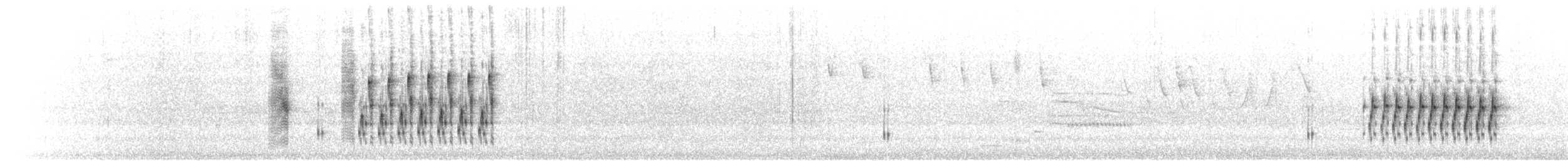 Marsh Wren (palustris Group) - ML621405470