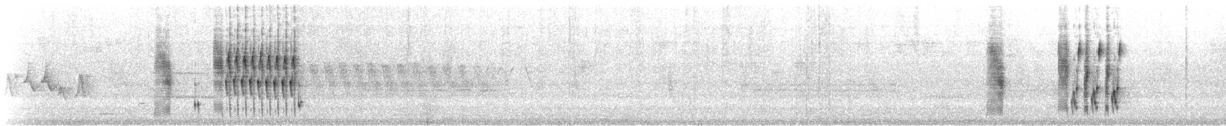 Marsh Wren (palustris Group) - ML621405477