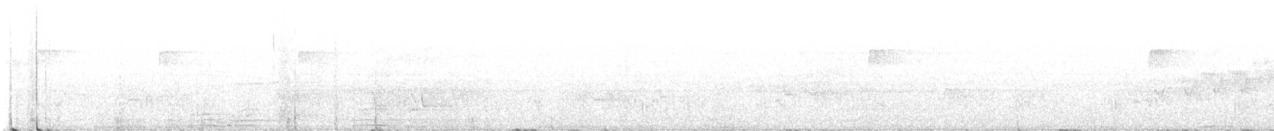 Cerulean Warbler - ML621405990