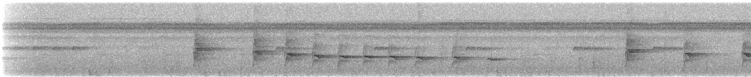 Black-tailed Leaftosser - ML621408639