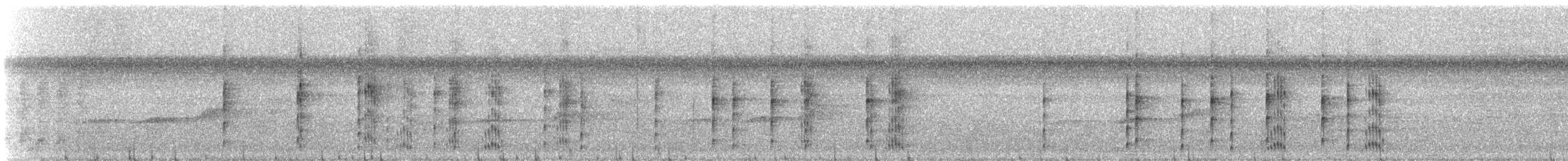 Black-and-white Tody-Flycatcher - ML621408919