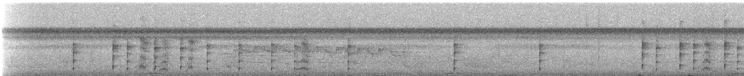 Black-and-white Tody-Flycatcher - ML621408920