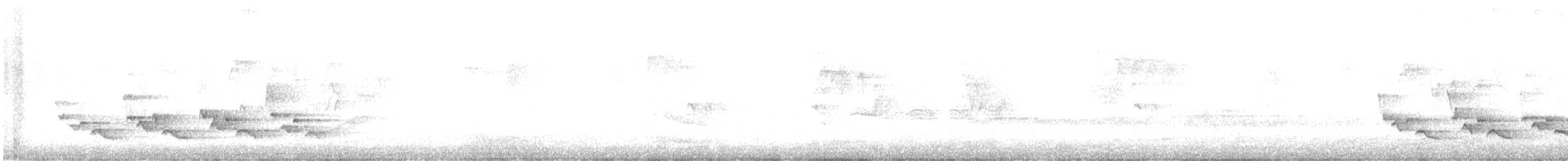 Поплітник каролінський - ML621412317