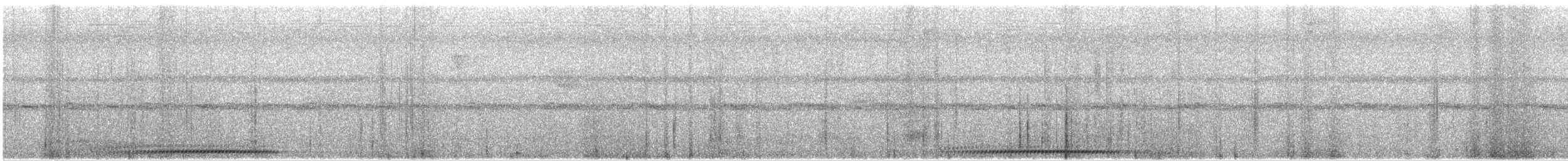 holub krátkozobý - ML621413161