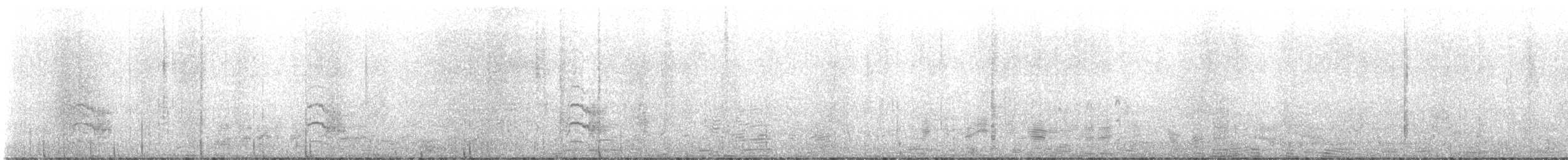 rybák jižní - ML621414742