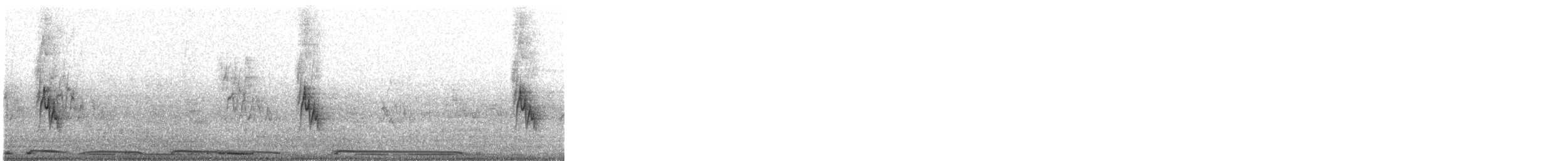 White-winged Dove - ML621417422