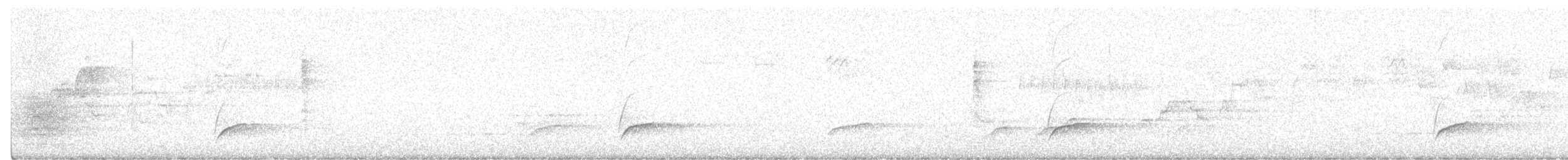 drozd západní - ML621417674