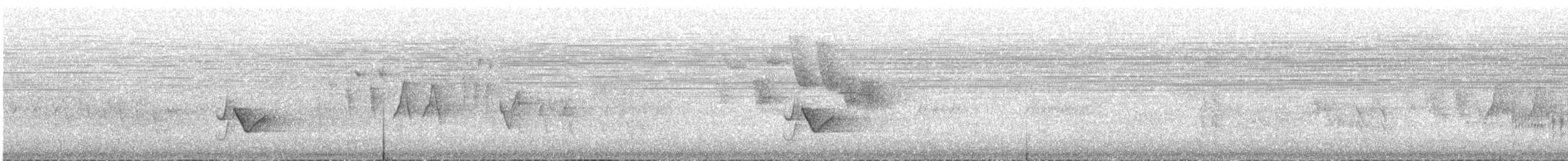 Plumbeous Vireo (Plumbeous) - ML621417993