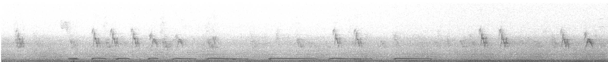 White-winged Dove - ML621418032