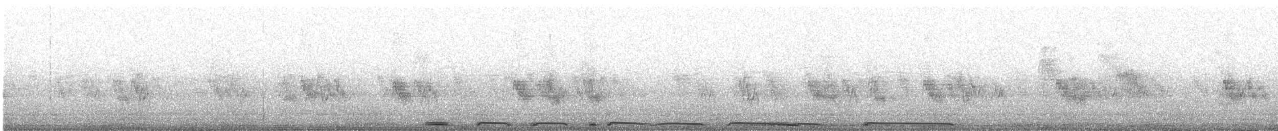 White-winged Dove - ML621418038