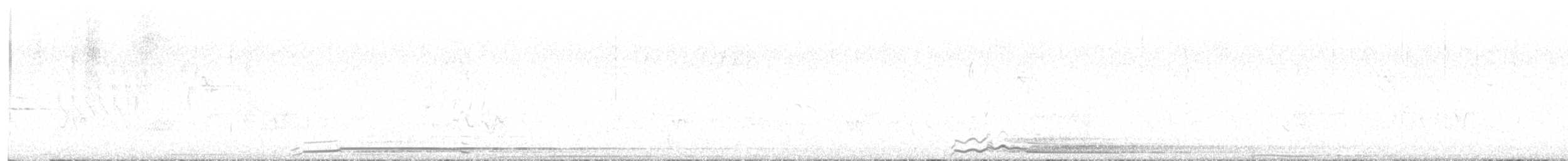 Common Loon - ML621419058