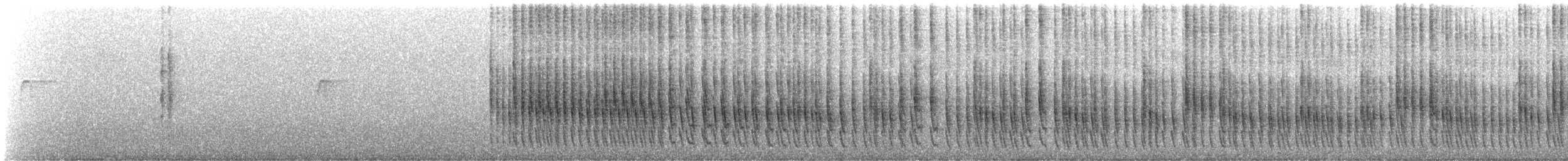 Plain Softtail (obidensis) - ML621420423