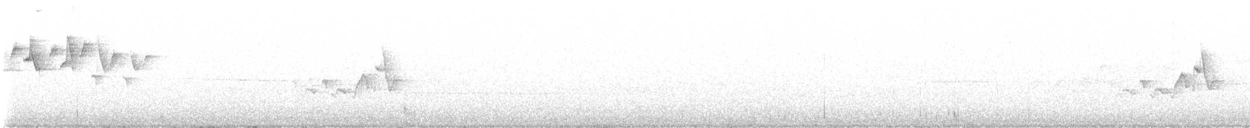 Black-and-white Warbler - ML621421355