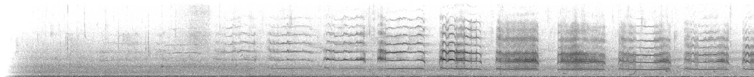 Faucon pèlerin (anatum) - ML621421809