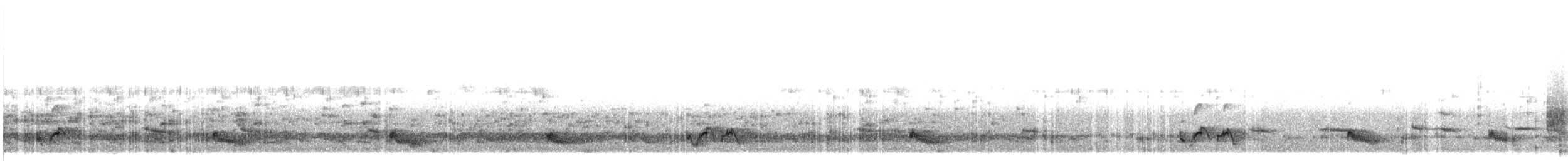 Pied Cuckoo - ML621425357