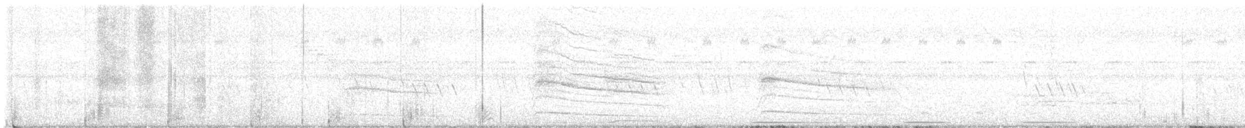 rapace sp. - ML621430897