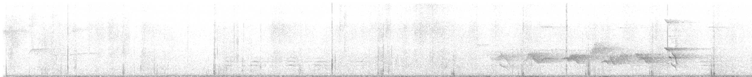 Barred Owl - ML621431655