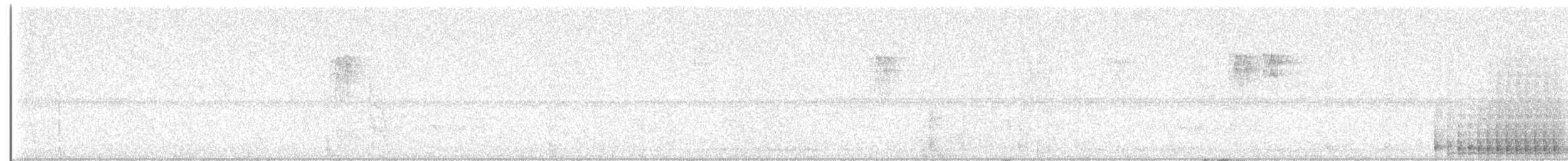 Red-bellied Woodpecker - ML621431969