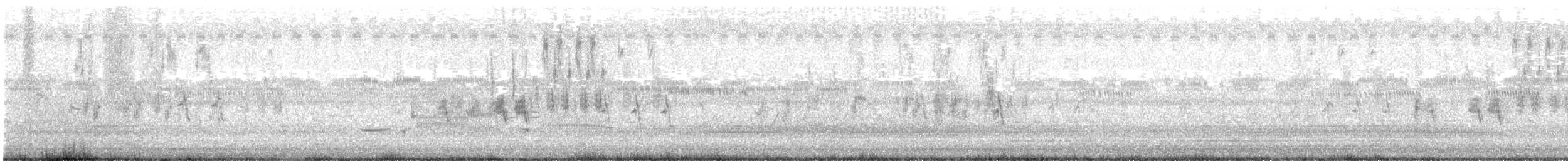 Sarılı Çinte - ML621436572