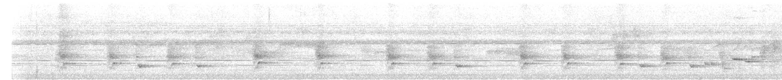 Perlbrust-Fächerschwanz - ML621436644