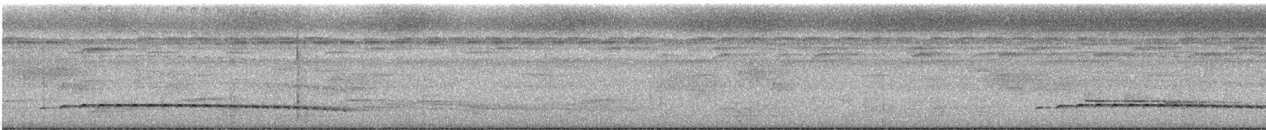 Batarito Coronipunteado - ML621436872