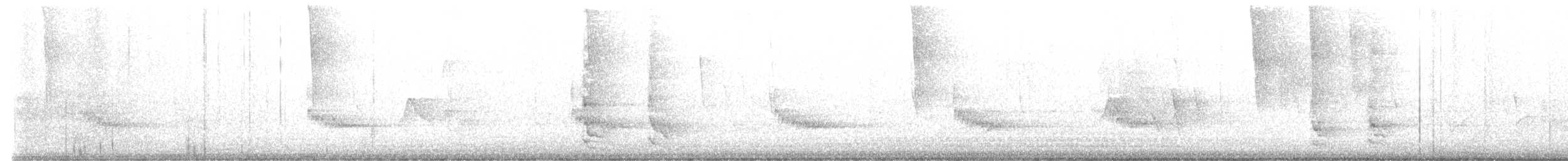 Carolina Wren - ML621436879