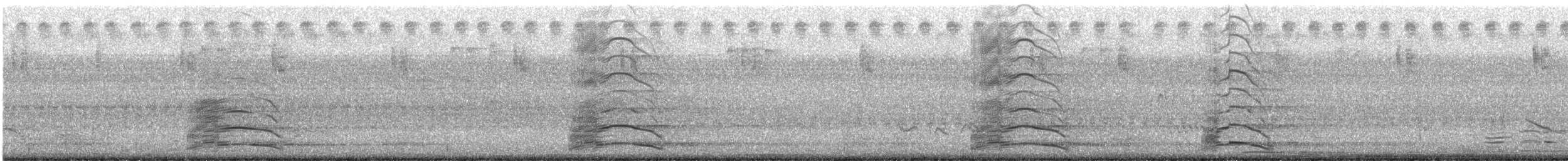 Limpkin - ML621437304