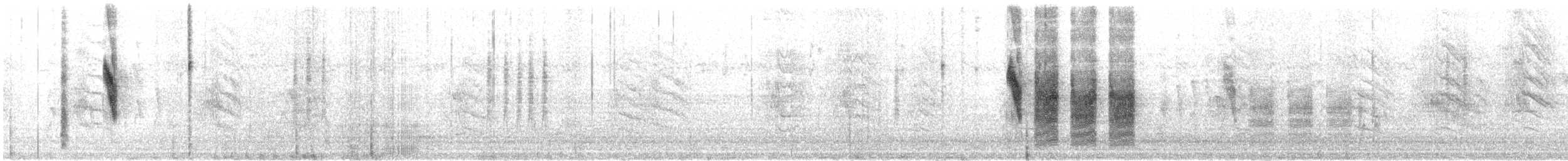 sotmeis - ML621439278
