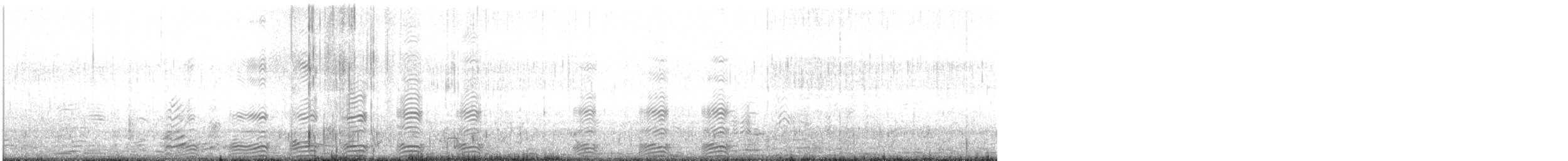racek kalifornský - ML621443299