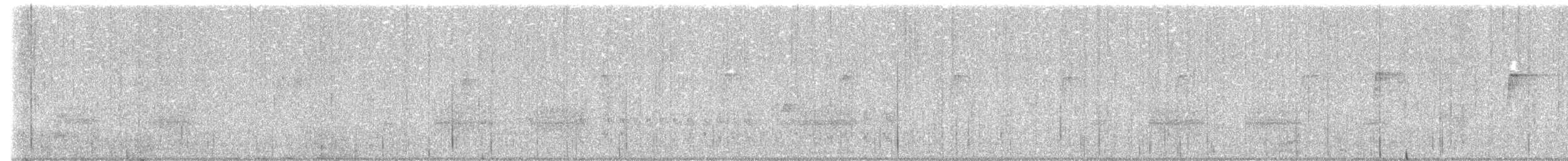 Белобрюхая иглохвостка - ML621447325