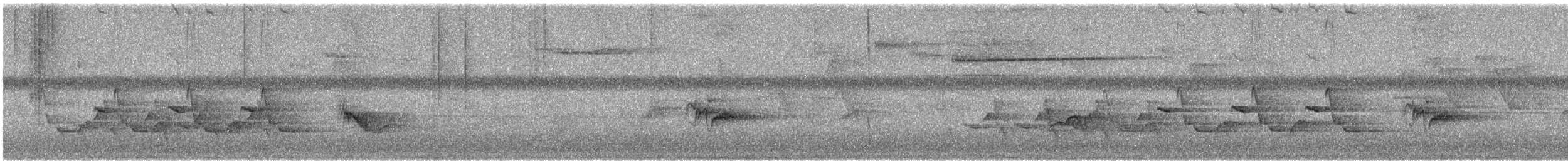 Carolina Wren - ML621447736