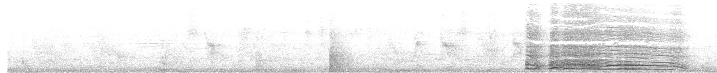 Банкивский петух (Одомашенного вида) - ML621449795