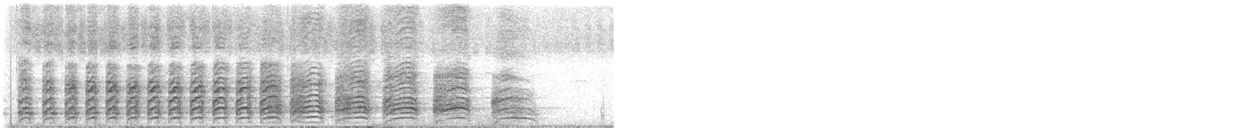 Laughing Gull - ML621449875
