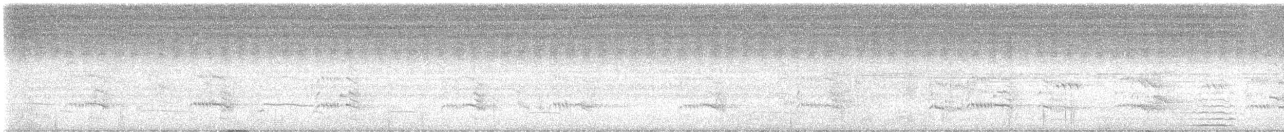 Royal Tern - ML621450197