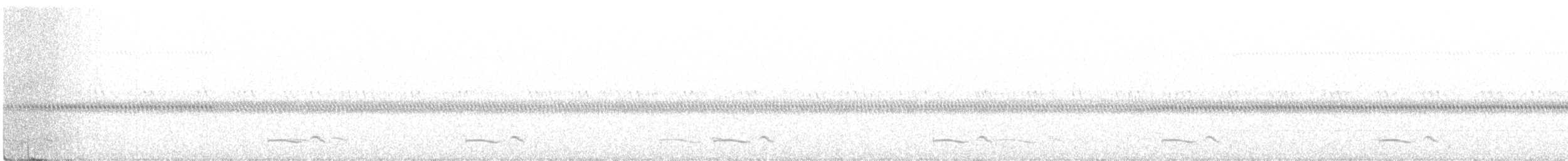 Common Poorwill - ML621451071