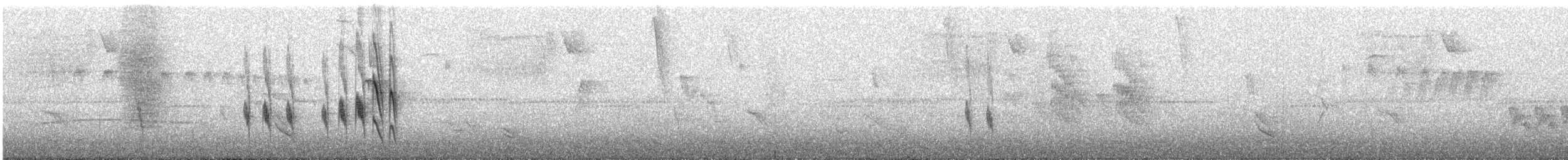 Mouse-colored Tyrannulet (Northern) - ML621456959